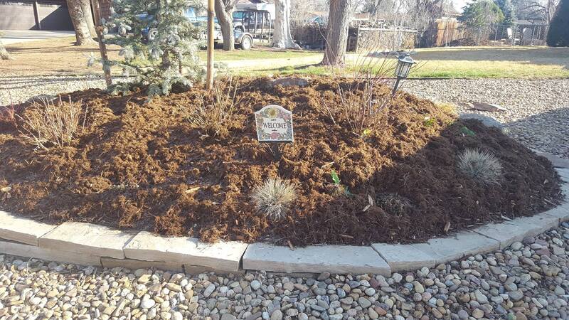 Round flowerbed with mulch
